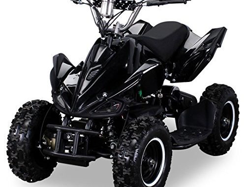 Mini Elektro Kinder Racer 800 Watt ATV Pocket Quad Kinderquad Kinderfahrzeug schwarz